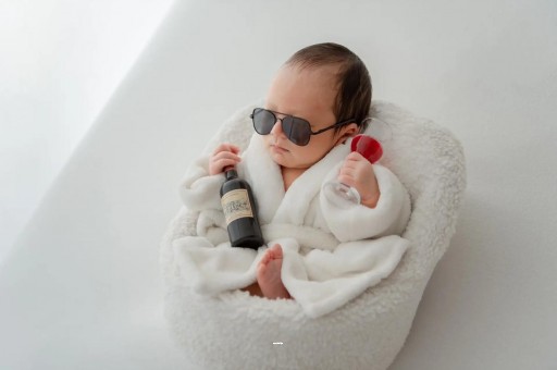 国内正规代孕同志判刑的处理方式